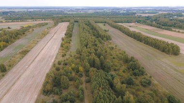 Parlak renkleri olan sonbahar kırsalları