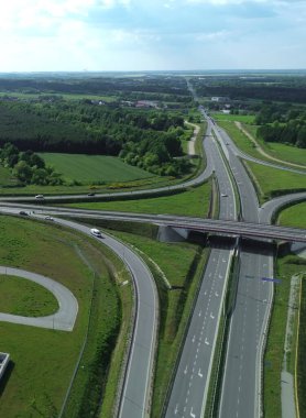 Asfalt yolda güzel yapraklar var.