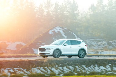 Modern lüks araçlı orman yolu.