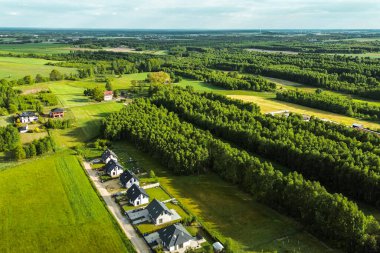 Doğayı ve sürdürülebilirliği temsil eden yemyeşil ekosistem