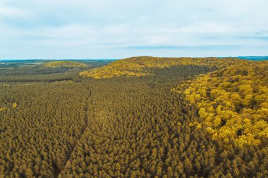 Yeşil ormanlı tepelerin havadan görünüşü