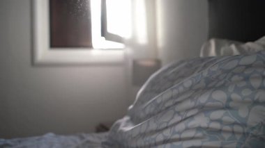 Doğal ışıkla parıldayan sakin bir iç mekan.