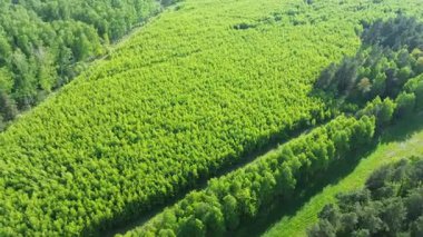 Dış tarlalar ekolojik iyileşmeye yardımcı oluyor.