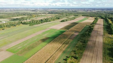 Yeşil tarlalı manzaralı sonbahar manzarası