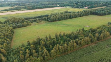 Gün batımında saman balyaları olan kırsal bir yer.