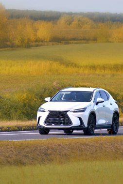 Huzurlu yolda ağaçların yanında giden SUV.