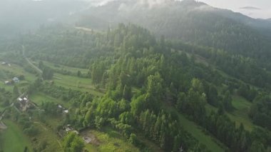 Yumuşak sabah ışığında yemyeşil bir vadi kasabası