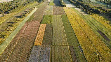 Gün batımında Yaz Tarlalarının Hava Çekimi