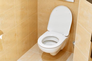 Modern banyo tuvalet duvara monte edilmiş