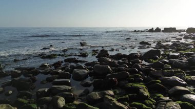 Deniz yosunlarıyla kaplı plaj kayalarıyla sığ su