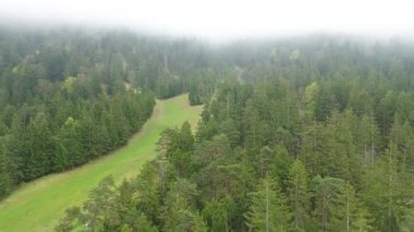 Yumuşak sabah ışığında yemyeşil bir vadi kasabası