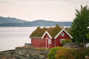 Norveç kırmızı kulübesi Sonbahar ağaçları ve suları