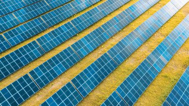 Yenilenebilir güneş panelleri çimenlerin üzerine yayıldı