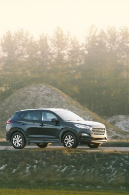 Çağdaş arazi aracı yeşil alana yakın sürüyor.