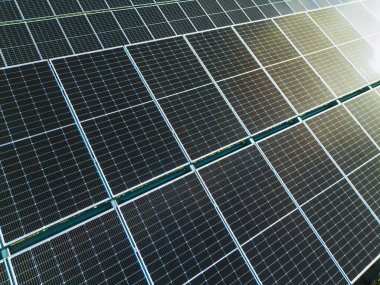 Günışığında birden fazla güneş paneli olan yenilenebilir enerji çiftliği