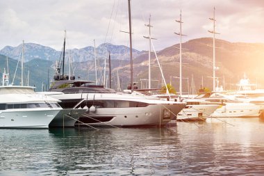 Güzel limana yanaşmış lüks yatlar.