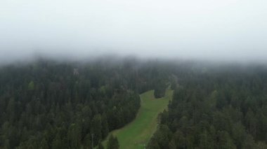 Yumuşak sabah ışığında yemyeşil bir vadi kasabası