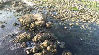 Portekiz 'in canlı kıyı şeridinin havadan manzarası