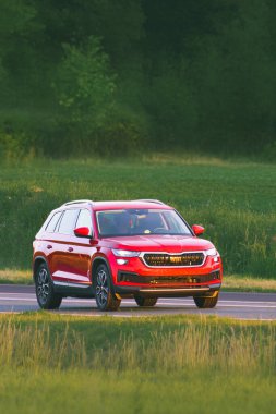 Yeşil doğada 4x4 SUV sürüyorum.