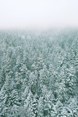 Karlı tepeler ve vadi bulutlu bir kış gökyüzünün altında