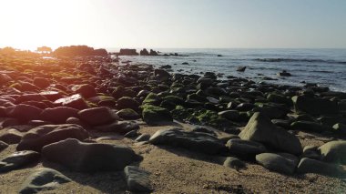 Kumsala yakın alglerle kaplı ıslak kayalar.