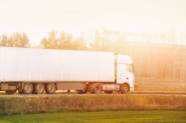 Otoyolda giden büyük bir kargo kamyonu.