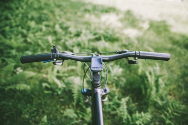 Bisikletçi sonbahar güneşinde orman yolunda gidiyor.