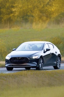 Yeşil arazide gezinen spor bir hatchback arabası.