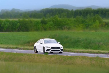 Doğada ilerleyen zarif siyah sedan.