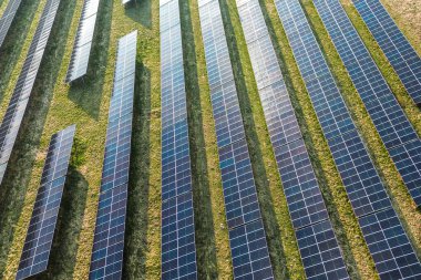 Güneş çiftliği çevre dostu güç için güneş ışığından faydalanıyor