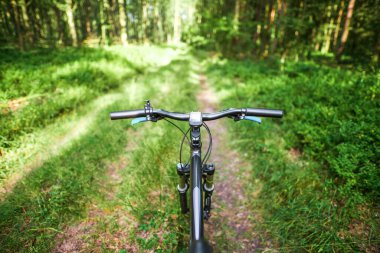 Gür yeşil ormanda bisiklet gidonu görüntüsü.