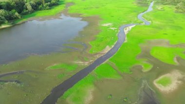 Kuru göl ve taze çimlerle doğal arka plan