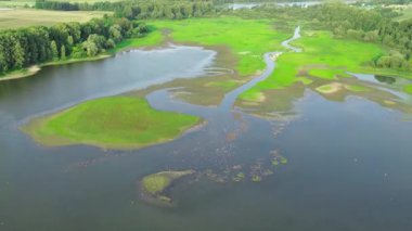Sulak alanları ve yeşil çalıları olan güzel bir çayır.