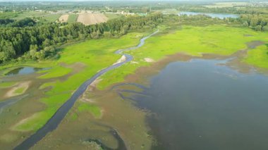 Çayırı ve göleti olan sakin bir doğa.