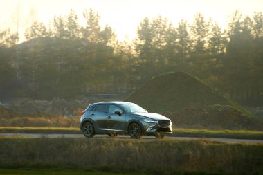 Manzaralı kırsal bir yolda araba sürüyor.