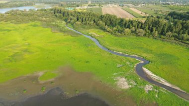 Nehir ve ormanla dolu bereketli yaz manzarası