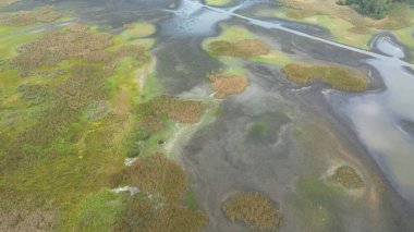 Kuru göl yeşillik ve ağaçlarla çevrili.