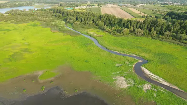 Nehir ve ormanla dolu bereketli yaz manzarası
