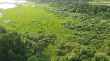 Çayır ve su seviyeleriyle vahşi doğa manzarası