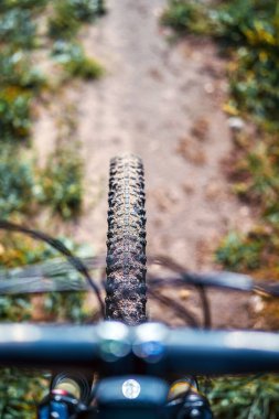 Doğal bir orman yolunda bisiklet sürüyor.