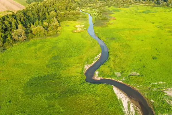 Nehir ve ormanlı kırsal çayır manzarası