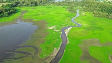 Sarmal nehir ve ormanlık arazili yeşil alanlar.
