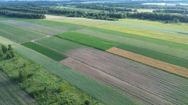 Drone kırsal araziyi altın saatinde yakalıyor, yeşil ve sarı tarlaları gösteriyor.