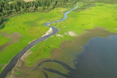 Green countryside fields with water and forest