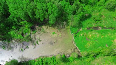Ağaçların ve otların arasındaki Sakin Göl 'ün Havadan Görünümü