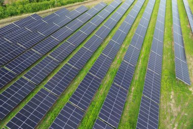 Industry complex using clean solar renewable energy