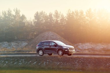 Lüks bir araç ağaçlarla dolu otlak araziden geçiyor.