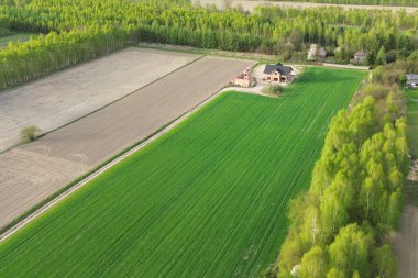 Yeşil tarlaların yanına yeni ev inşaatı