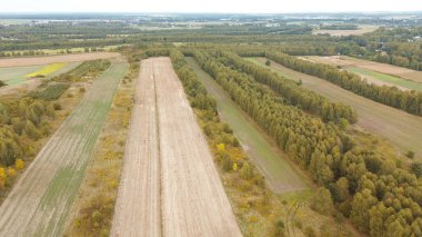 Sonbahar yapraklı kırsal alan