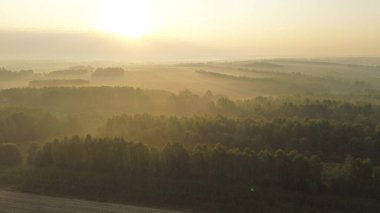 Canlı kırsal alanda nemli, sisli bir sabah.